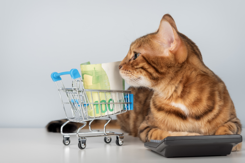 roux avec un mini caddie qui contient un billet de 100€