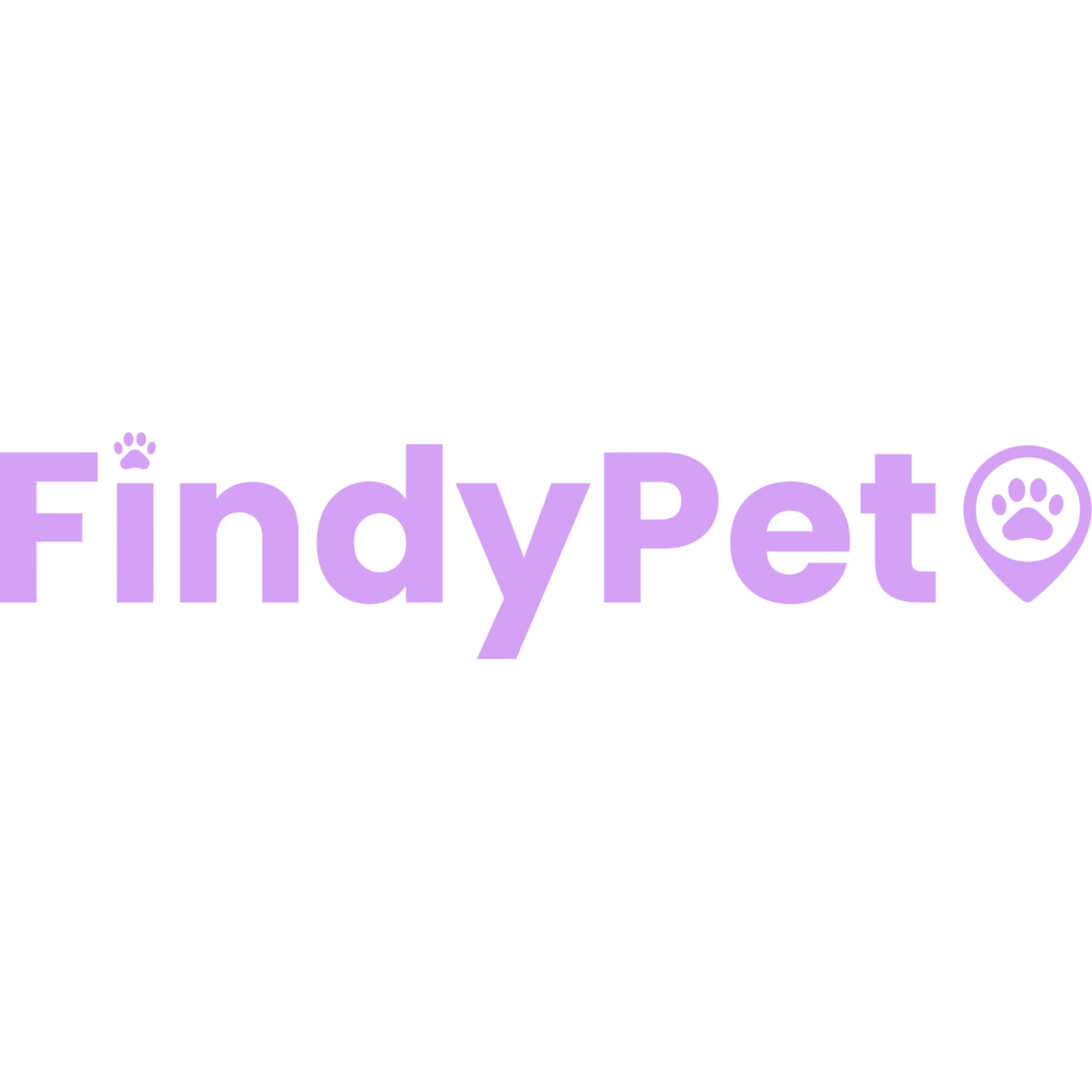 30.FINDYPET