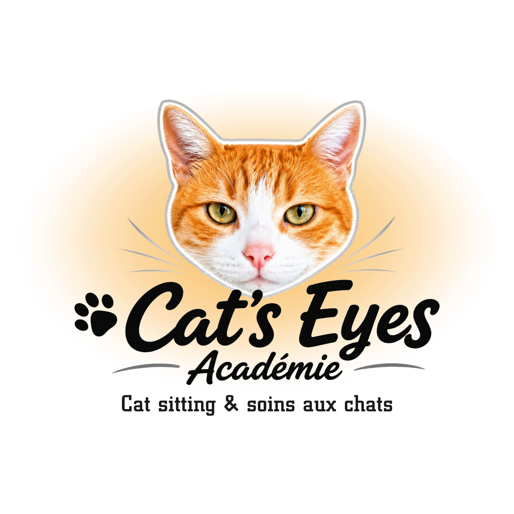 31.CATSEYESACADEMIE