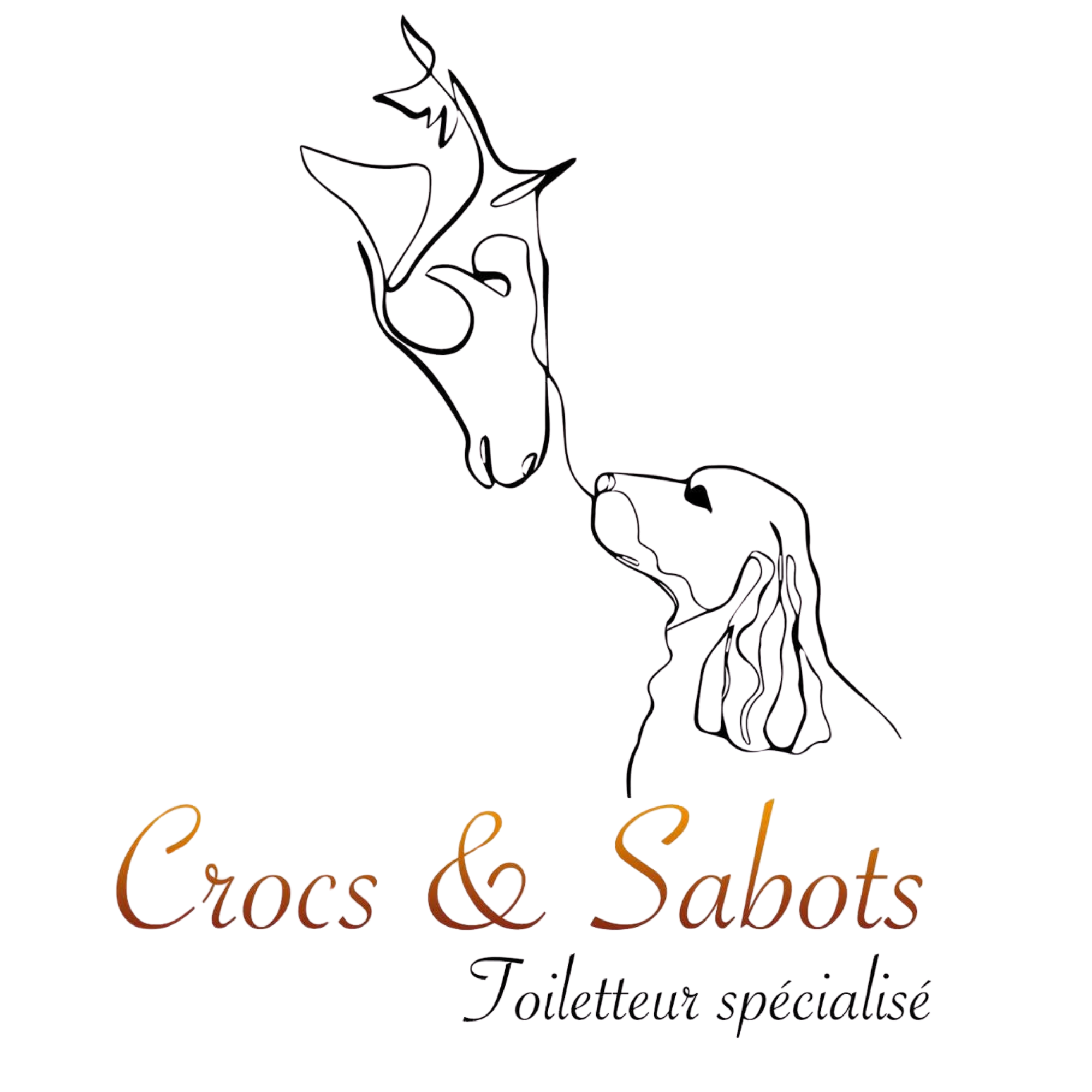 38.CROCSETSABOTS