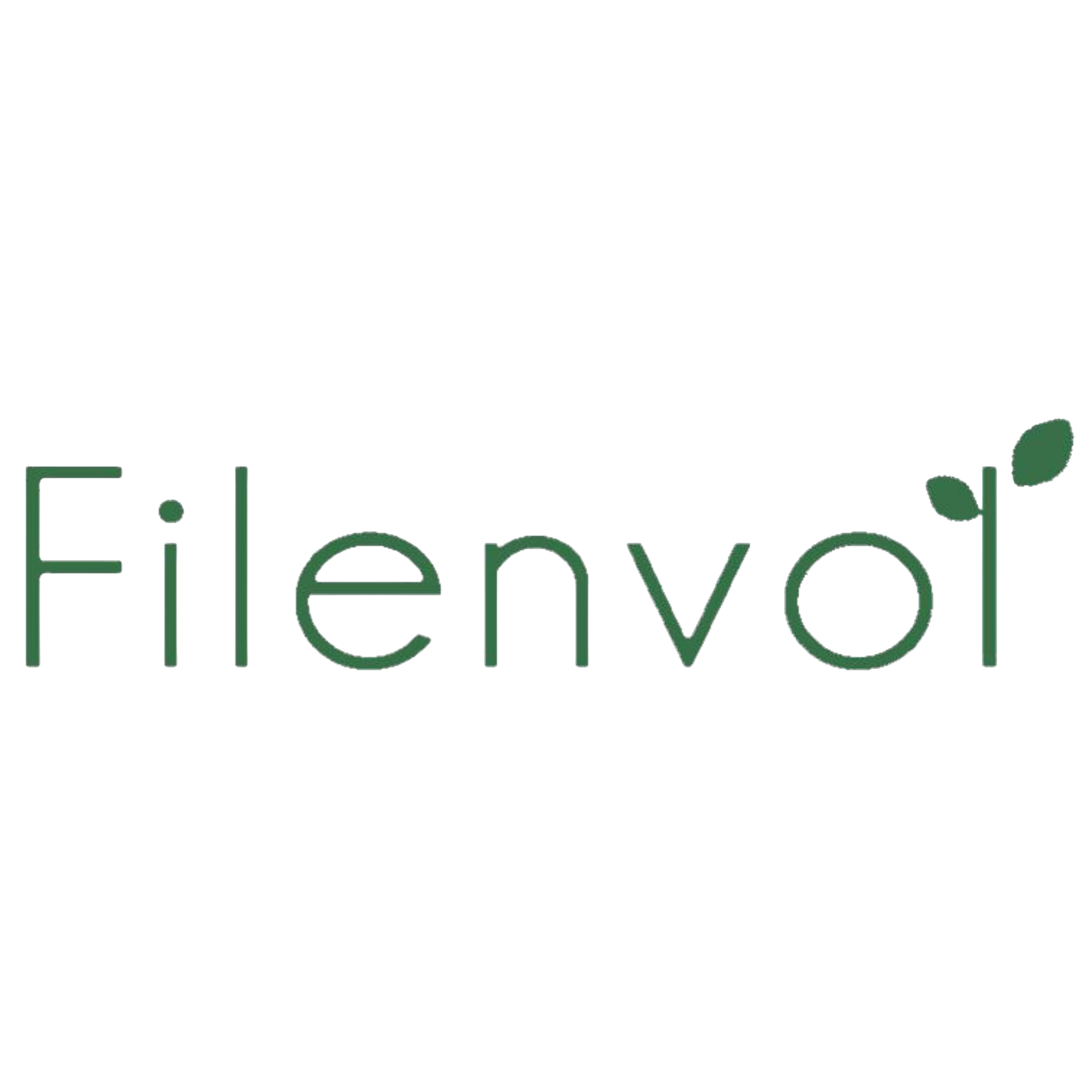 43.FILENVOL