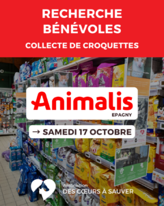 Collecte de croquettes