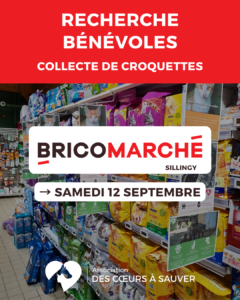 Collecte de croquettes